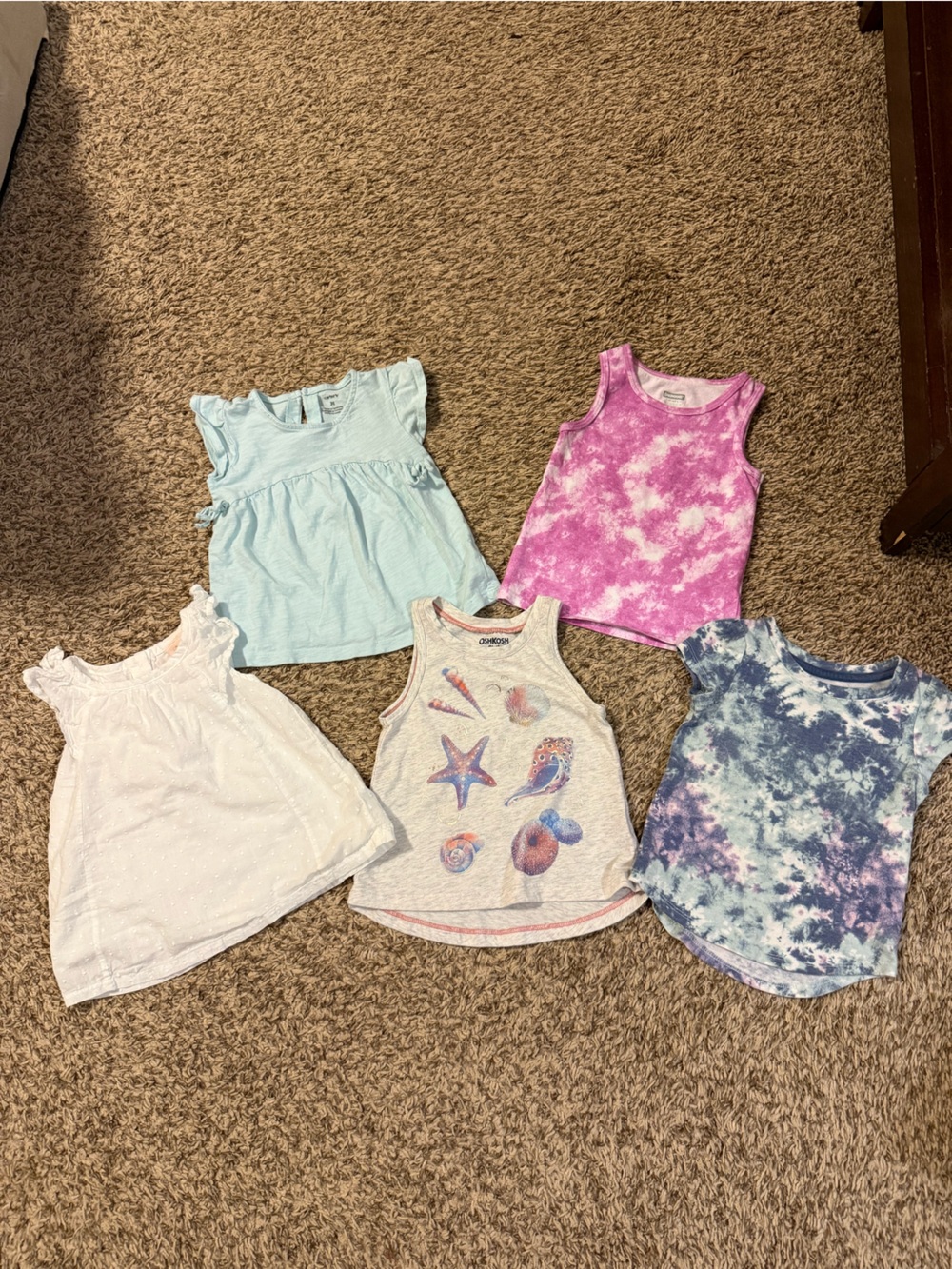 Toddler Girl Shirt Bundle